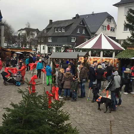 Апартаменты Top-locatie-winterberg-centrum-appartement-maximaal 6 Personen